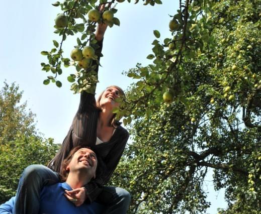 Vakantie Logies De Kleine Motte Bed and Breakfast Sint-Truiden Eksteriør billede